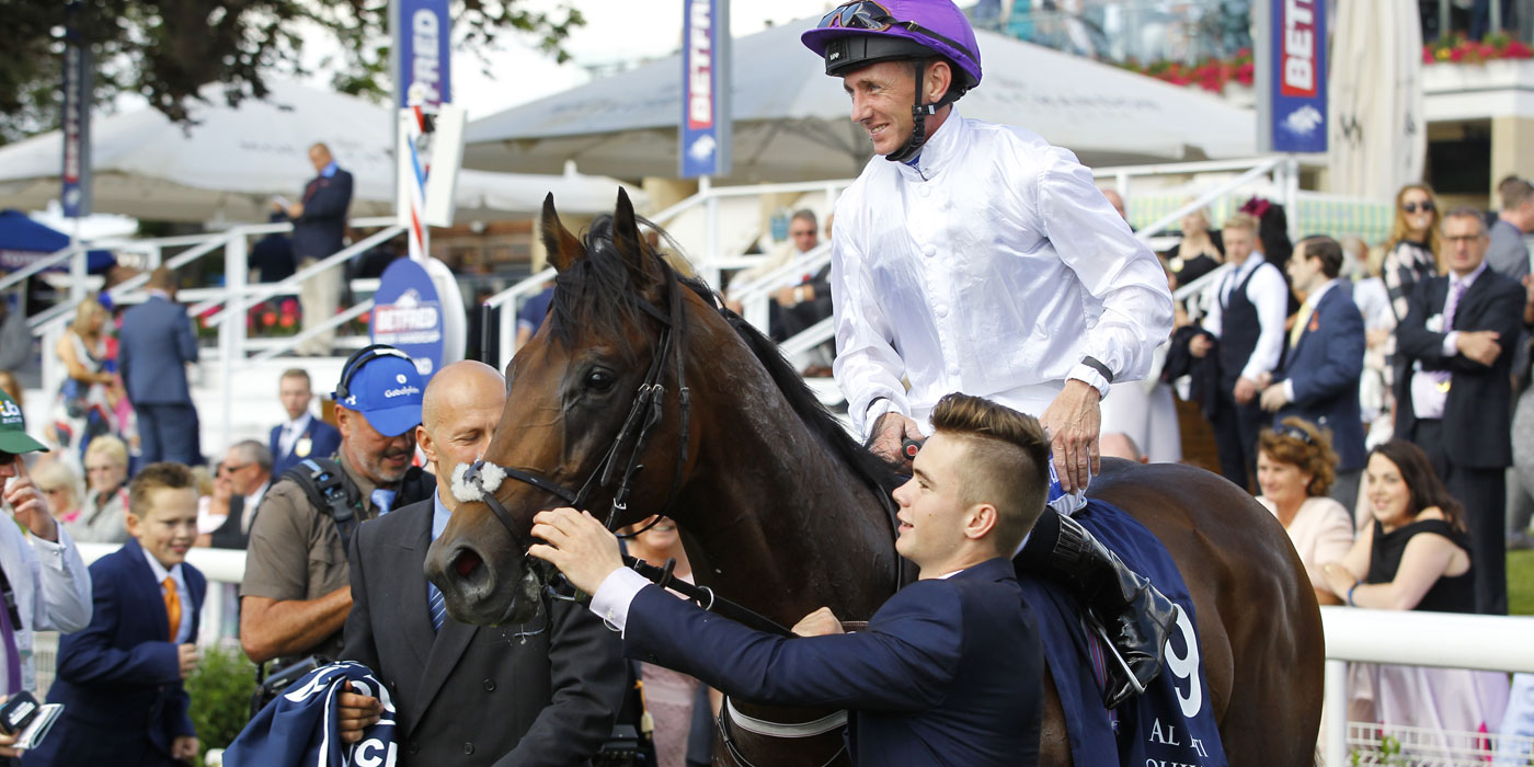 Sands Of Mali; winner of G1 British Champions Sprint,<br />G2 Sandy Lane Stakes and G2 Gimcrack Stakes