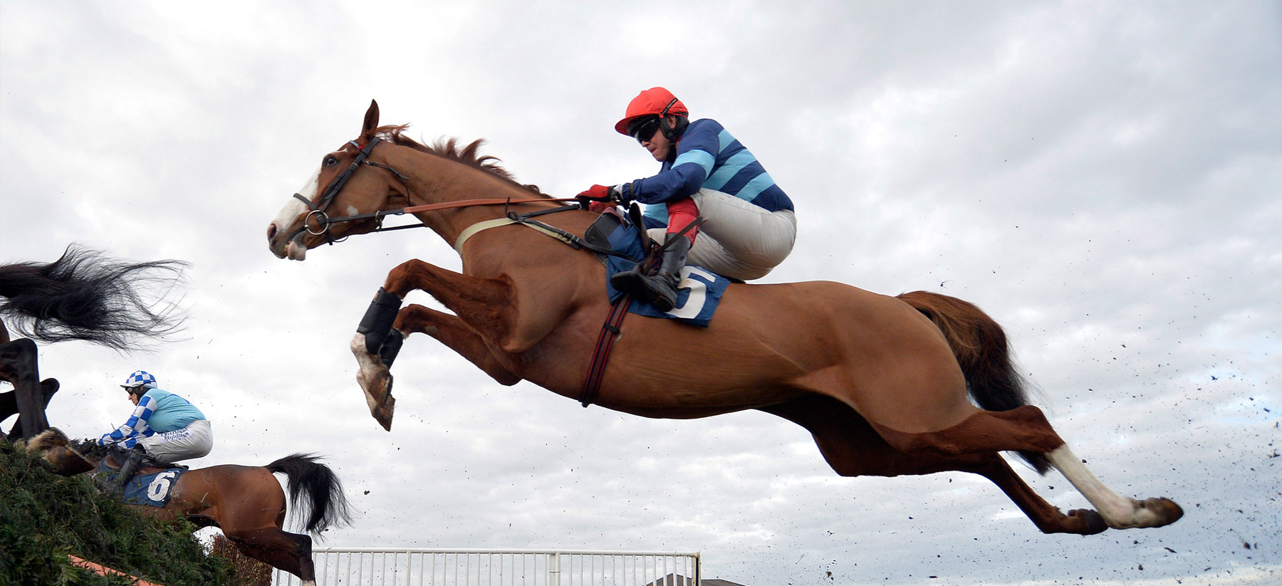 Valdez winning the G2 Lightning Novices Chase