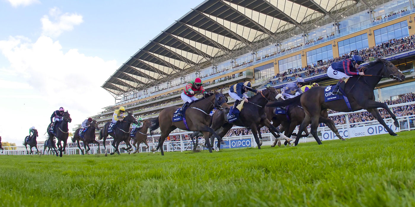 The Tin Man; winner of the G1 British Champions<br /> Sprint Stakes & G1 Diamond Jubilee Stakes at Royal Ascot