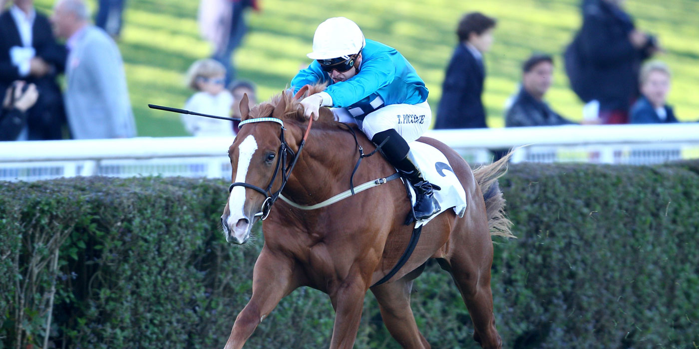 Robin Of Navan winning the G1 Criterium De Saint-Cloud
