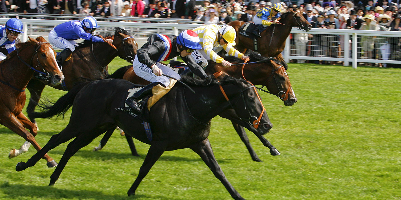 Society Rock winning the G1 Golden Jubilee Stakes at Royal Ascot