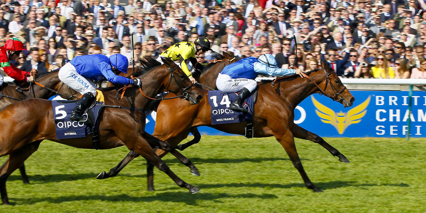 Miss France winning the G1 1,000 Guineas (mating advised and managed)